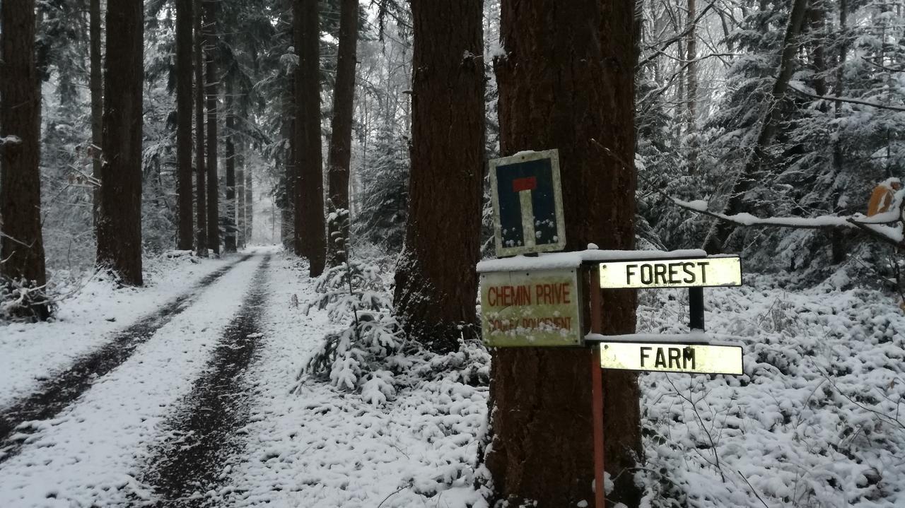 Bois-Jerome-Saint-Ouen Forest Farm المظهر الخارجي الصورة